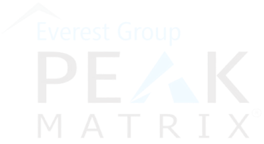 Everest Group PEAK Matrix